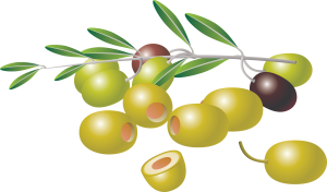 Olive PNG-14317